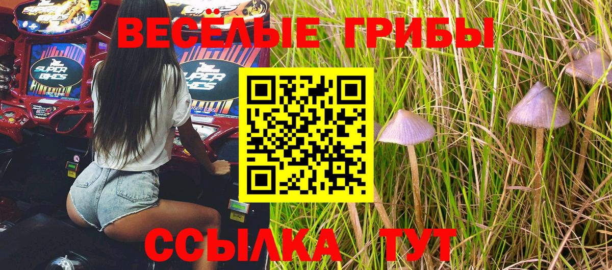 Псилоцибиновые грибы Psilocybe  даркнет сайт  Чебоксары  Вход с VPN 